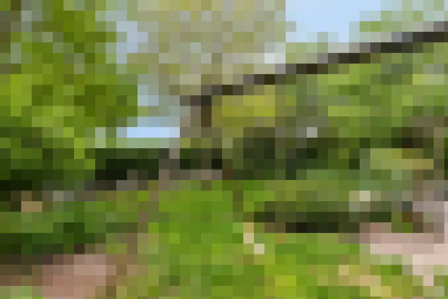 Tielsestraat 37 Maurik thumbnail 35