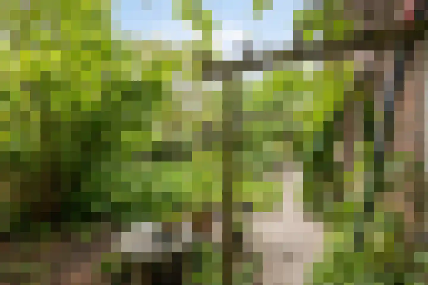 Tielsestraat 37 Maurik thumbnail 36