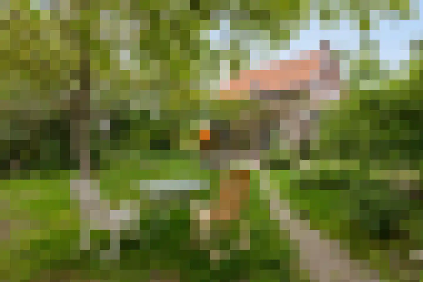 Tielsestraat 37 Maurik thumbnail 37