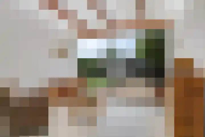 Tielsestraat 38 Valburg thumbnail 27