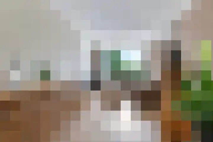 Tielsestraat 38 Valburg thumbnail 30