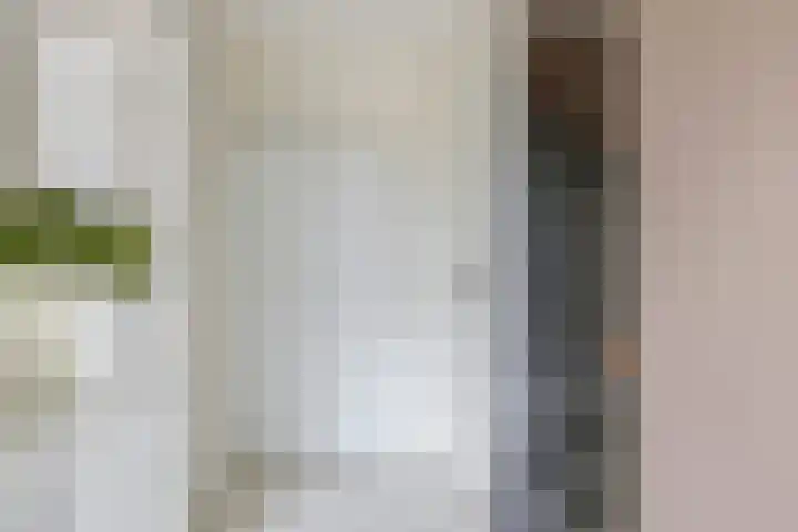 Tielsestraat 38 Valburg thumbnail 31