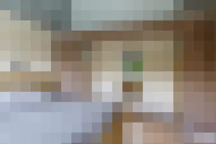 Tielsestraat 38 Valburg thumbnail 35