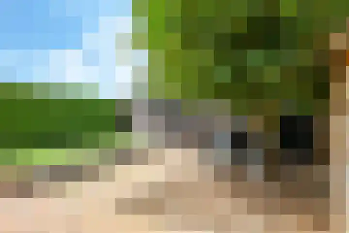 Tielsestraat 38 Valburg thumbnail 55