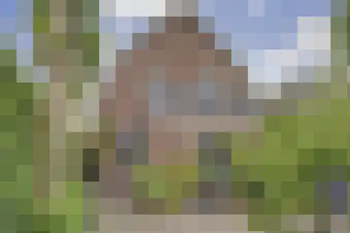 Tielsestraat 45 Valburg thumbnail 35