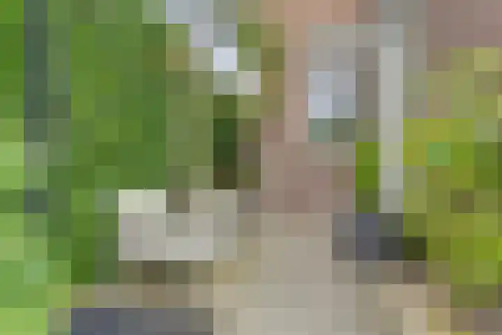 Tielsestraat 45 Valburg thumbnail 36