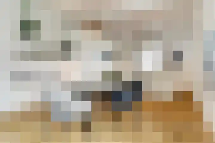 Tielsestraat 45 Valburg thumbnail 7