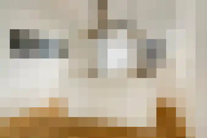 Tielsestraat 45 Valburg thumbnail 8