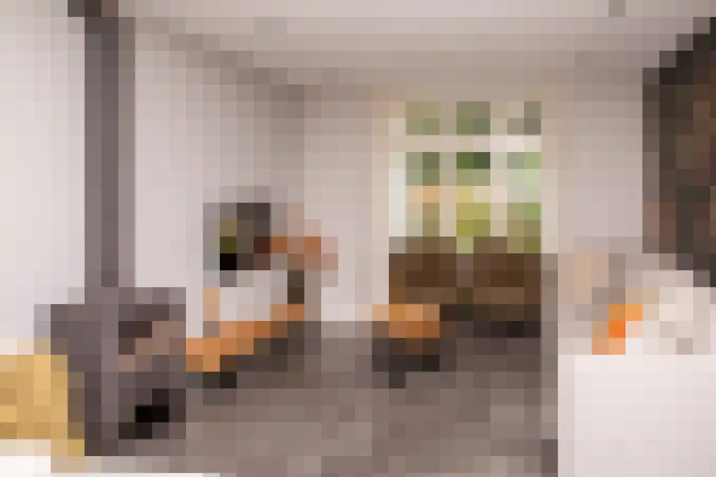 Tielsestraat 5 Opheusden thumbnail 14