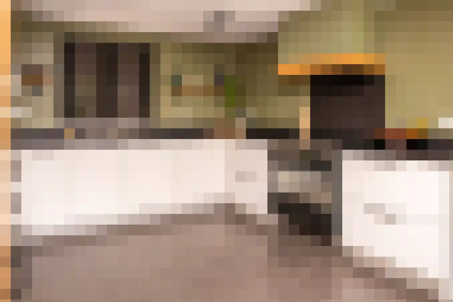 Tielsestraat 5 Opheusden thumbnail 19