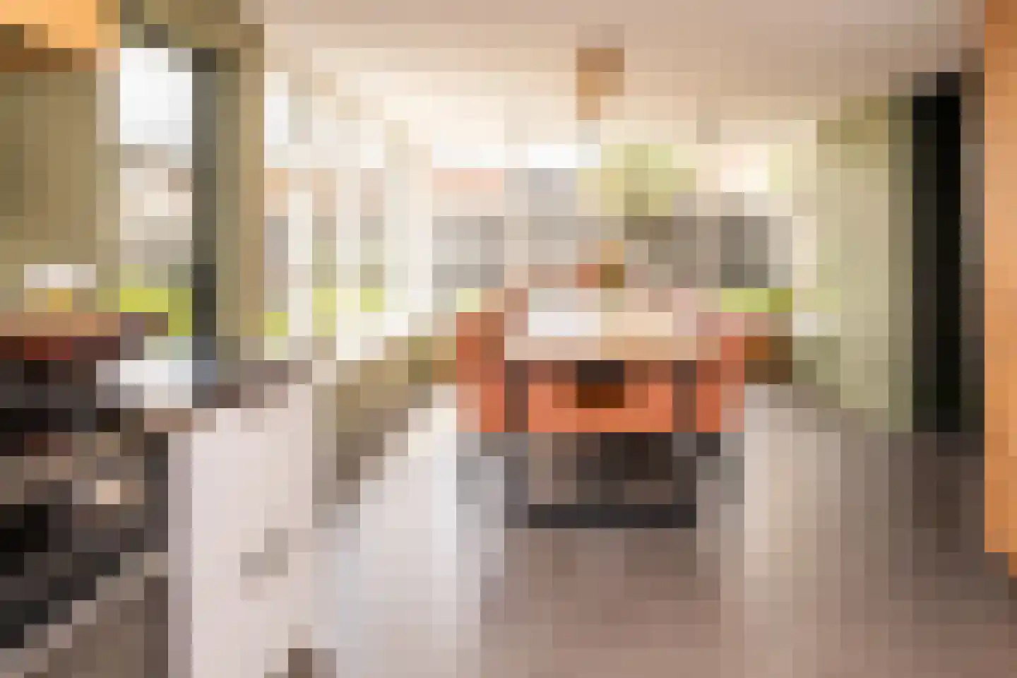 Tielsestraat 5 Opheusden thumbnail 20