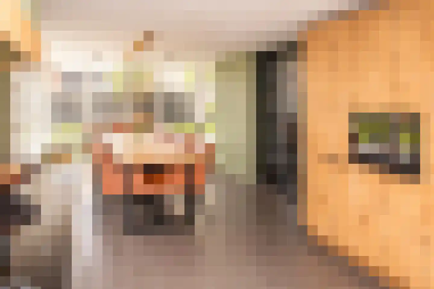 Tielsestraat 5 Opheusden thumbnail 22