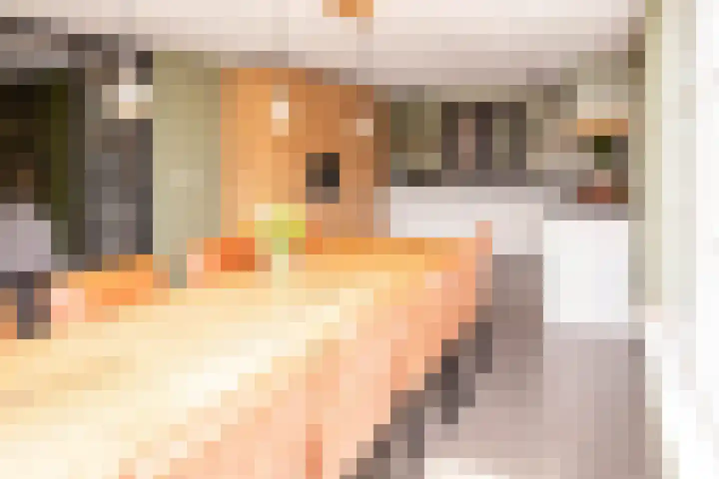 Tielsestraat 5 Opheusden thumbnail 23