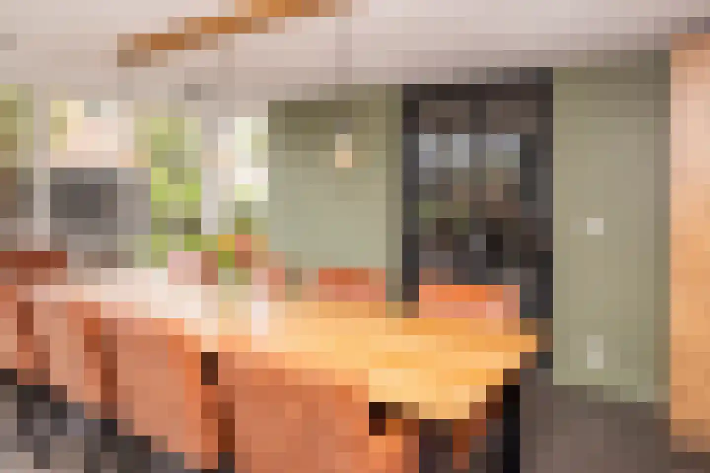 Tielsestraat 5 Opheusden thumbnail 24