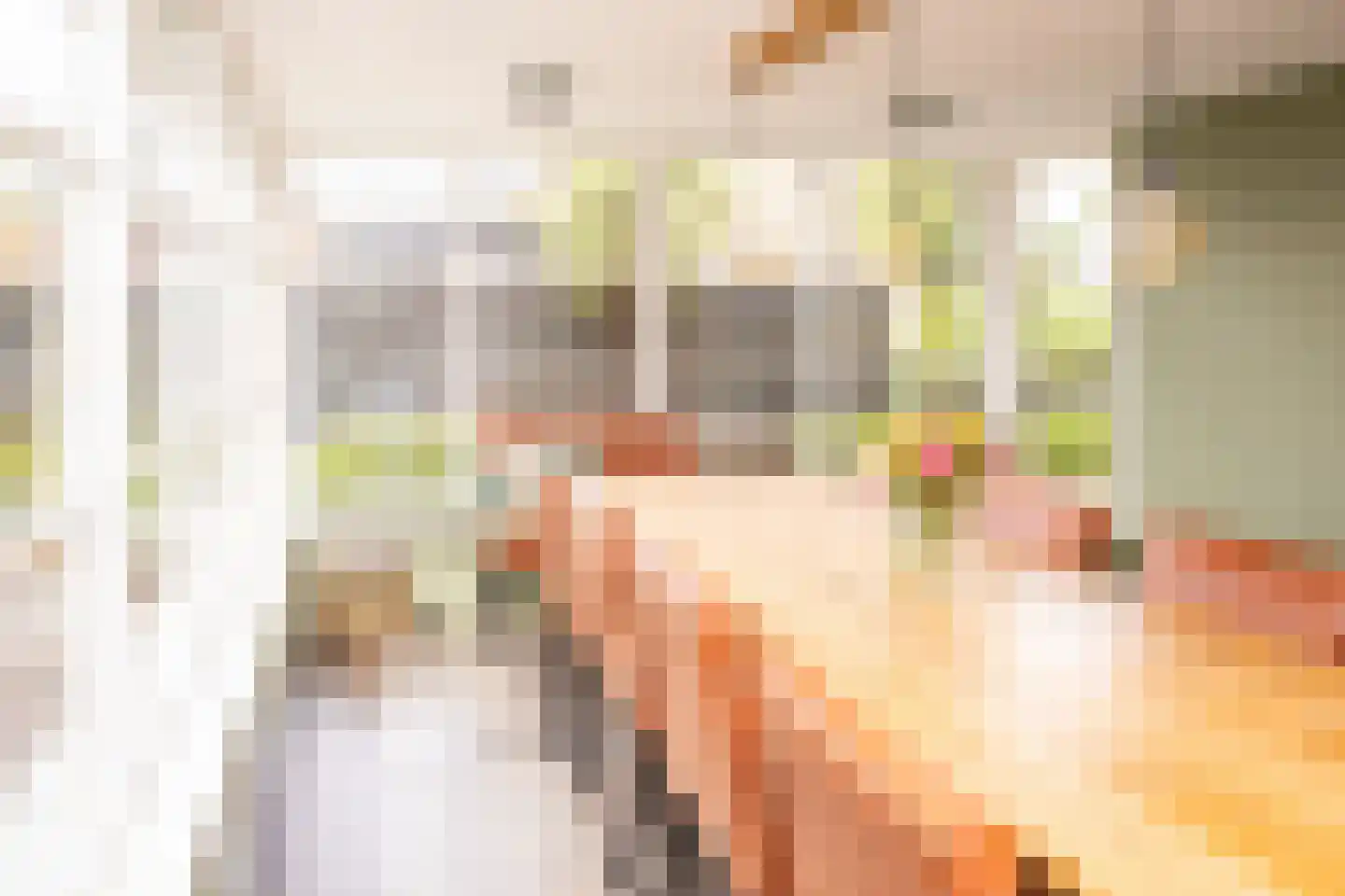 Tielsestraat 5 Opheusden thumbnail 25