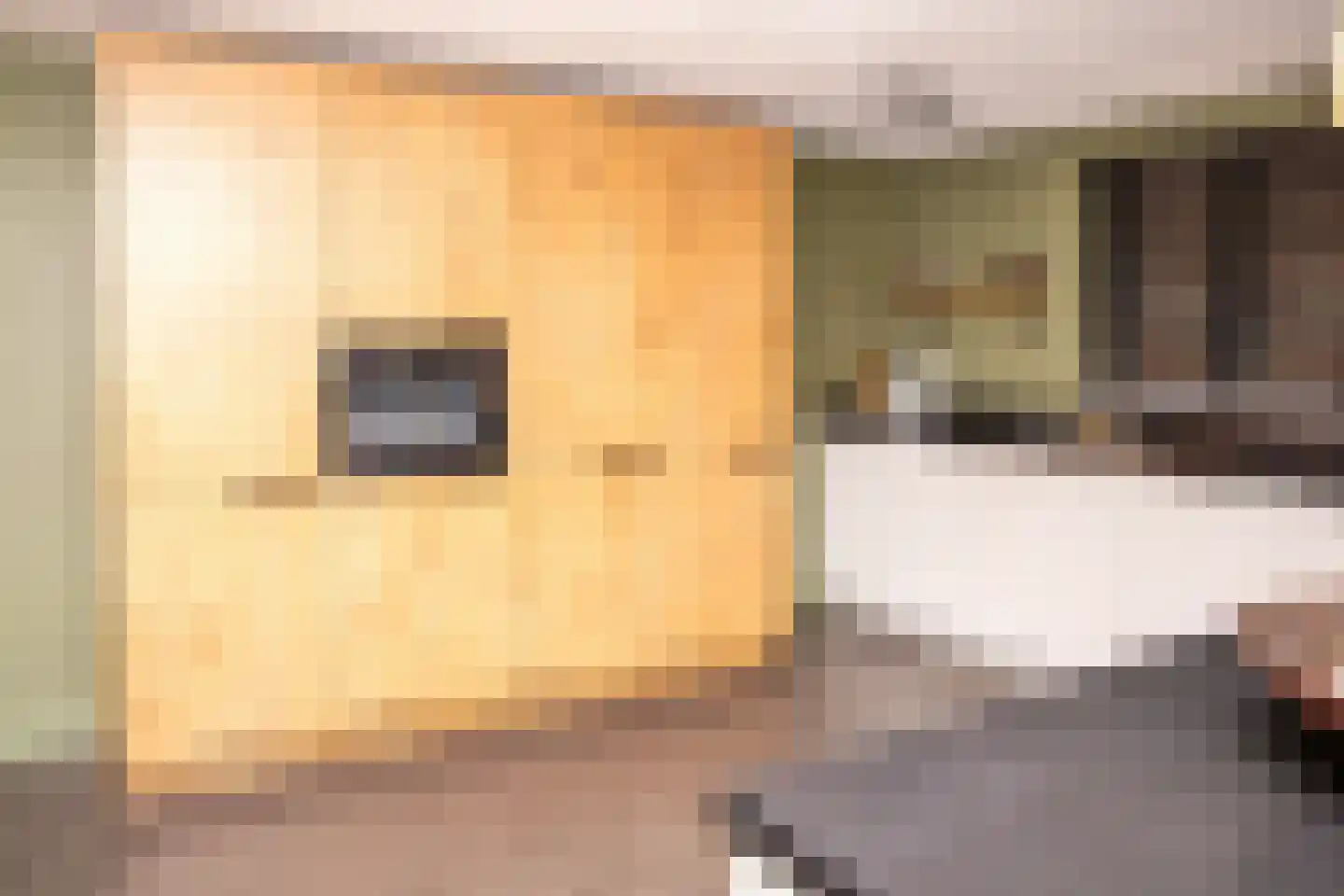 Tielsestraat 5 Opheusden thumbnail 26