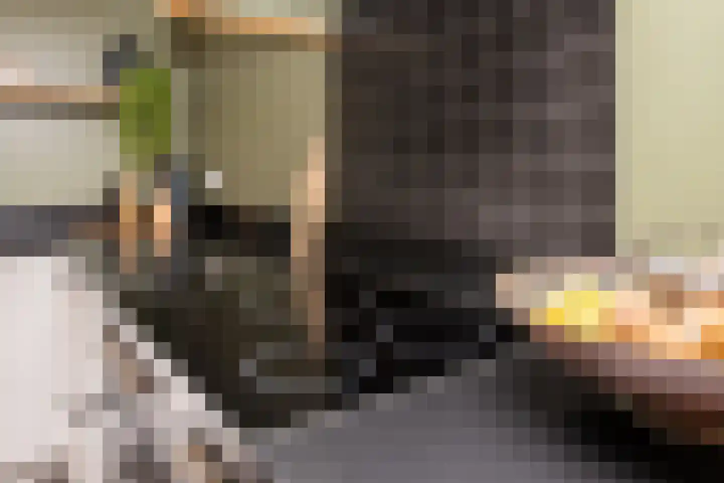 Tielsestraat 5 Opheusden thumbnail 27