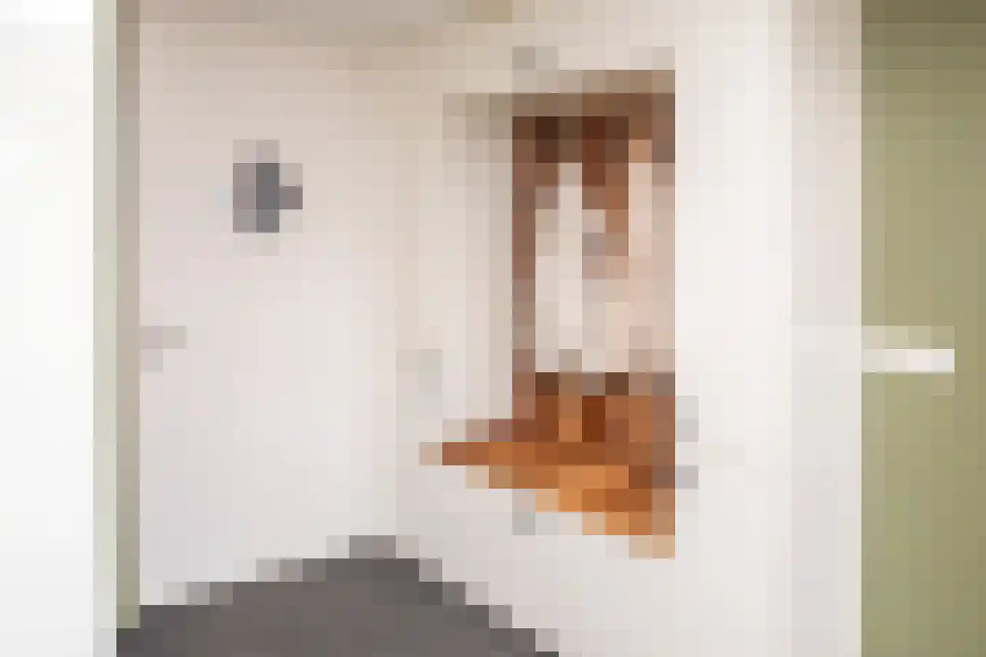 Tielsestraat 5 Opheusden thumbnail 30
