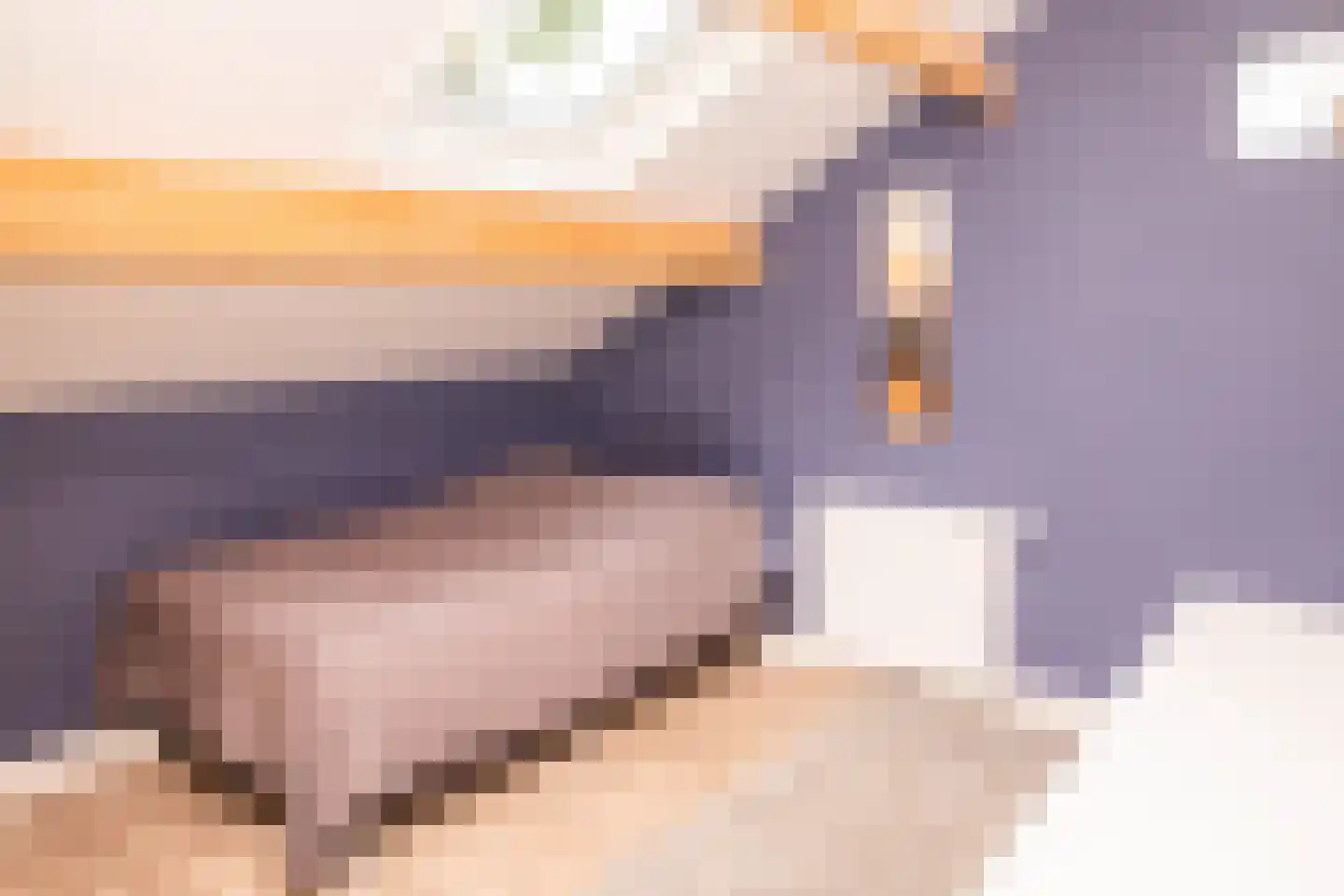 Tielsestraat 5 Opheusden thumbnail 35
