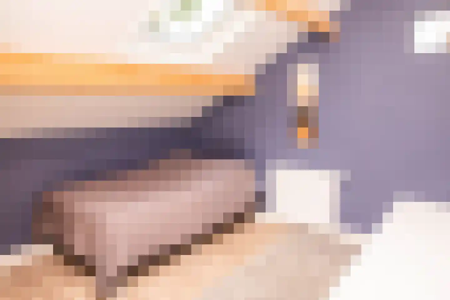 Tielsestraat 5 Opheusden thumbnail 35