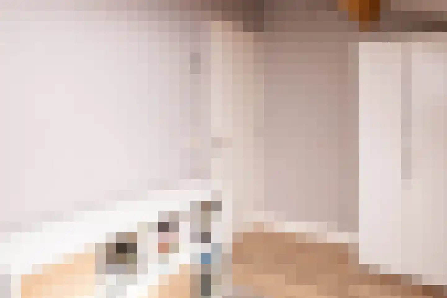 Tielsestraat 5 Opheusden thumbnail 36
