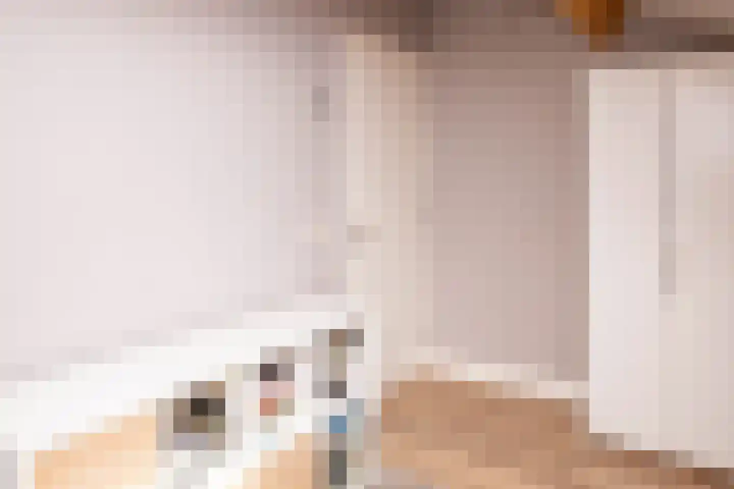 Tielsestraat 5 Opheusden thumbnail 36