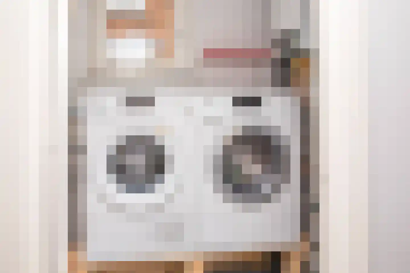Tielsestraat 5 Opheusden thumbnail 37