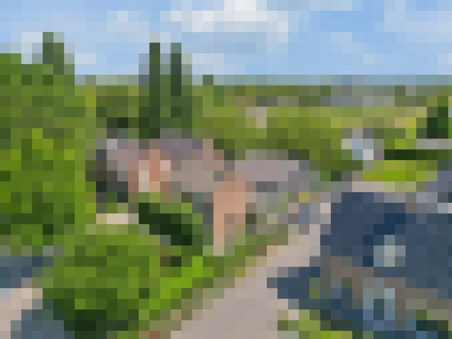Tielsestraat 5 Opheusden thumbnail 4