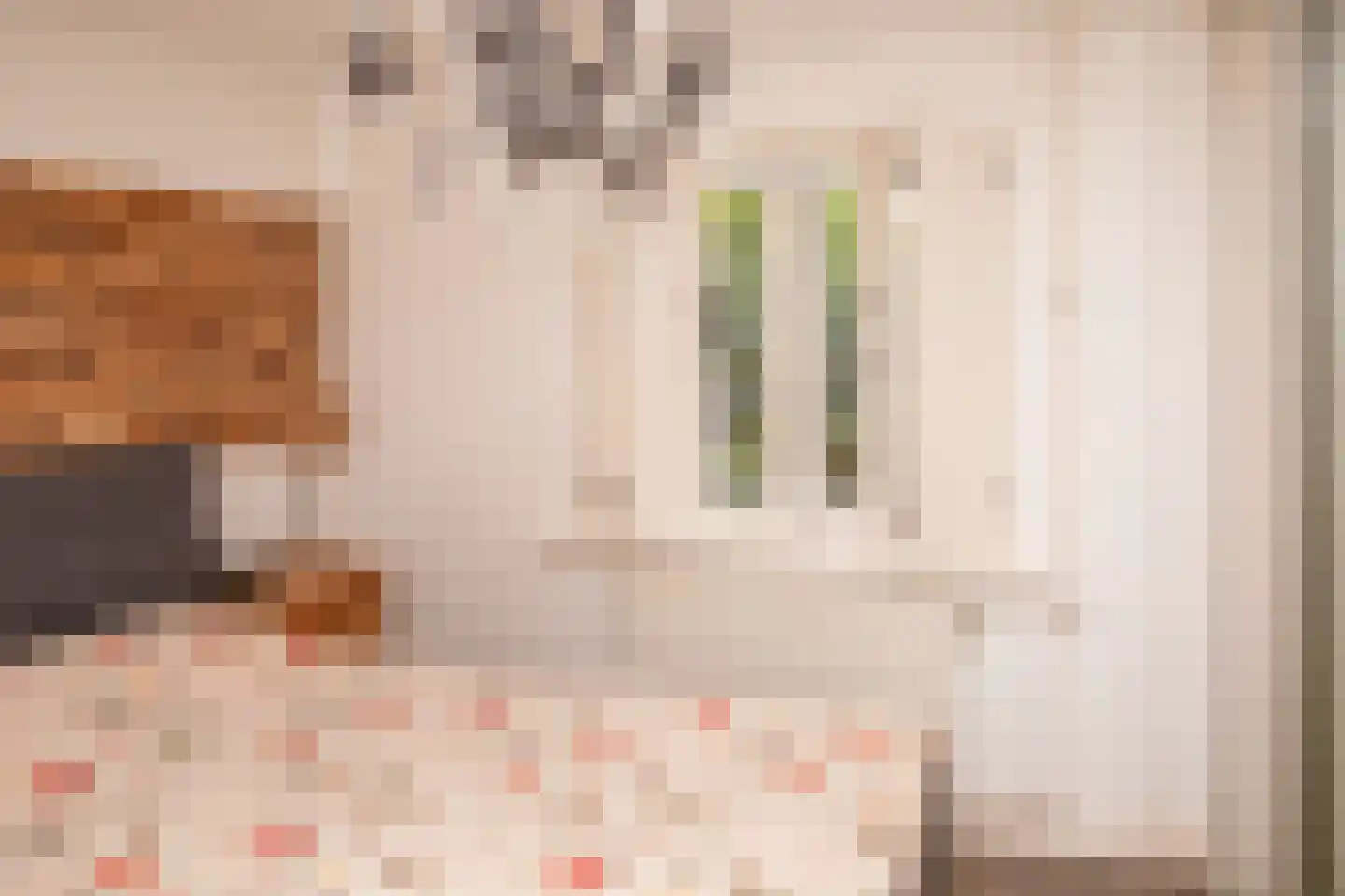 Tielsestraat 5 Opheusden thumbnail 40