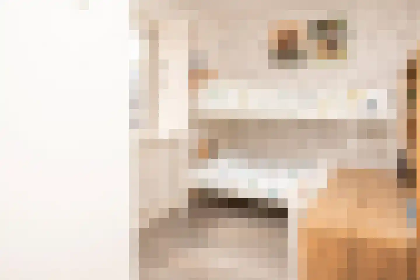 Tielsestraat 5 Opheusden thumbnail 42