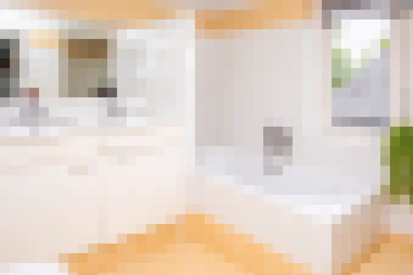 Tielsestraat 5 Opheusden thumbnail 47