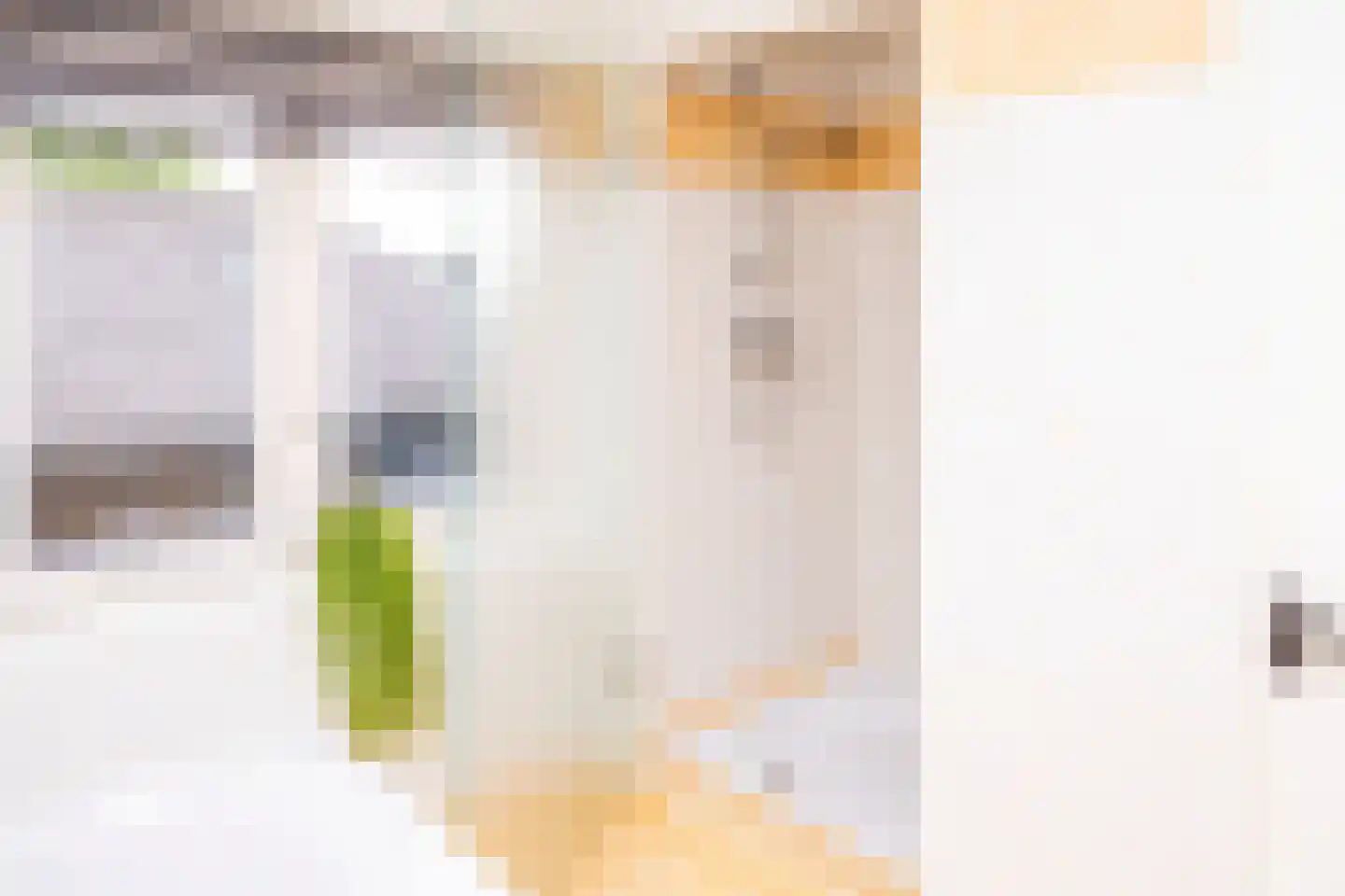 Tielsestraat 5 Opheusden thumbnail 50