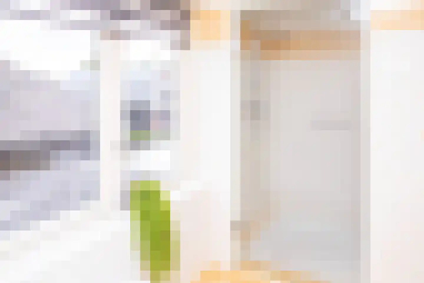 Tielsestraat 5 Opheusden thumbnail 51