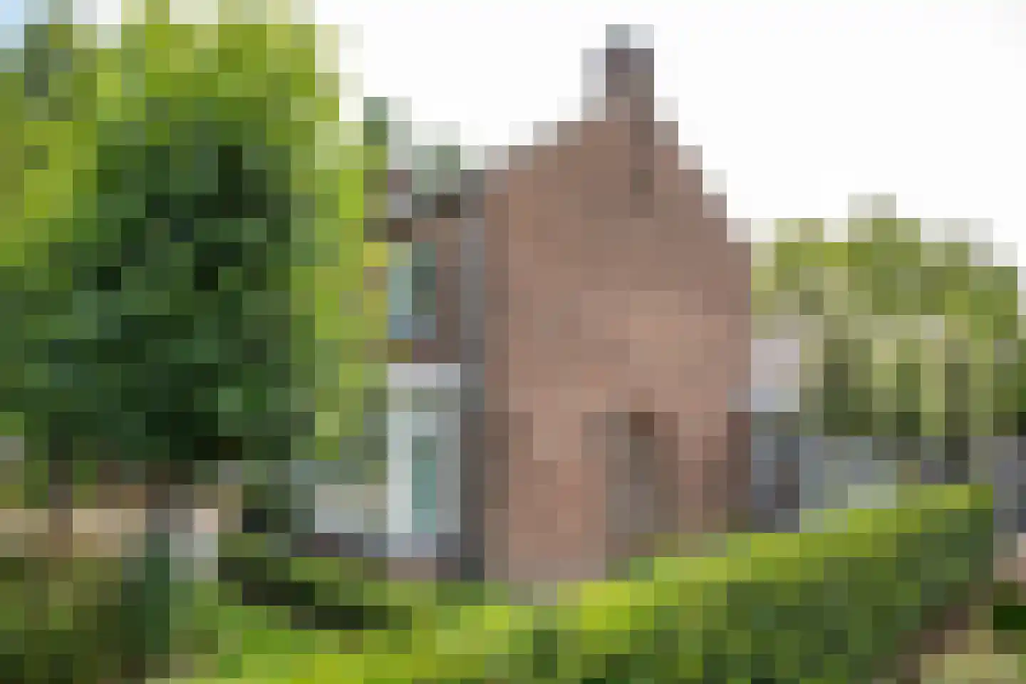 Tielsestraat 5 Opheusden thumbnail 7