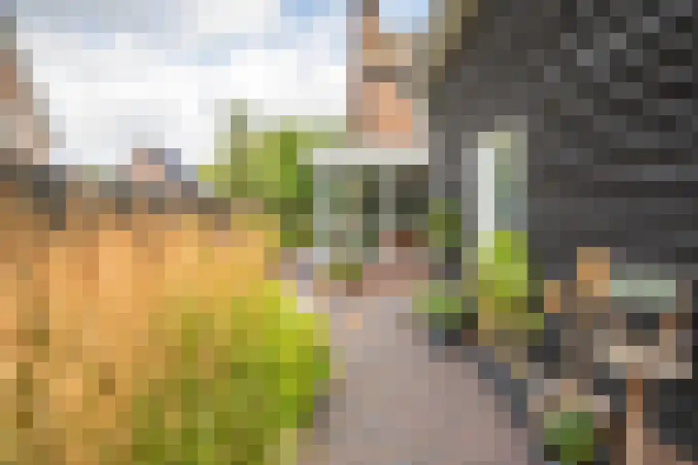 Tielsestraat 5 Opheusden thumbnail 73