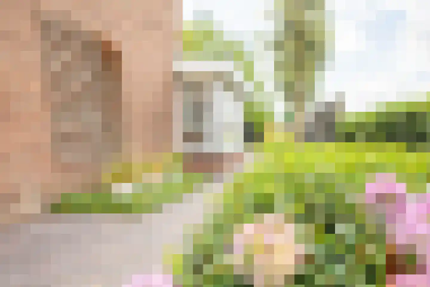 Tielsestraat 5 Opheusden thumbnail 75