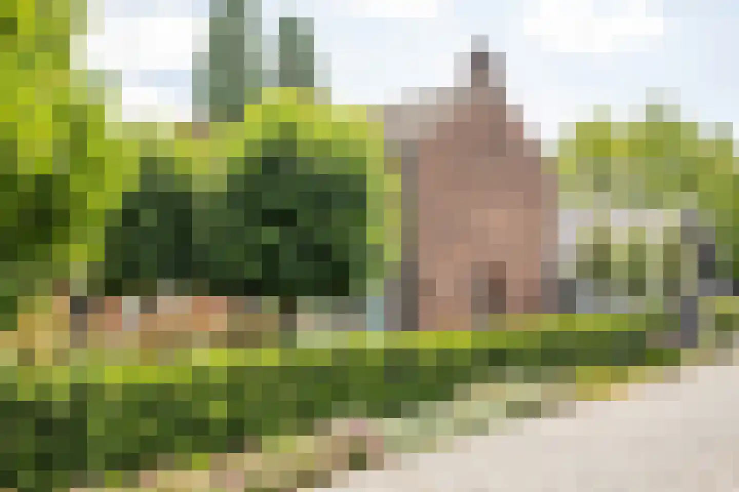 Tielsestraat 5 Opheusden thumbnail 76