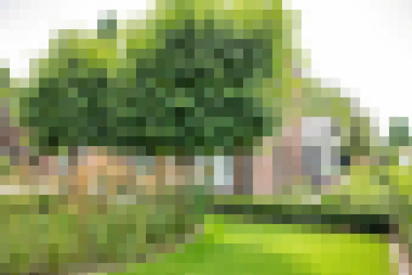 Tielsestraat 5 Opheusden thumbnail 77
