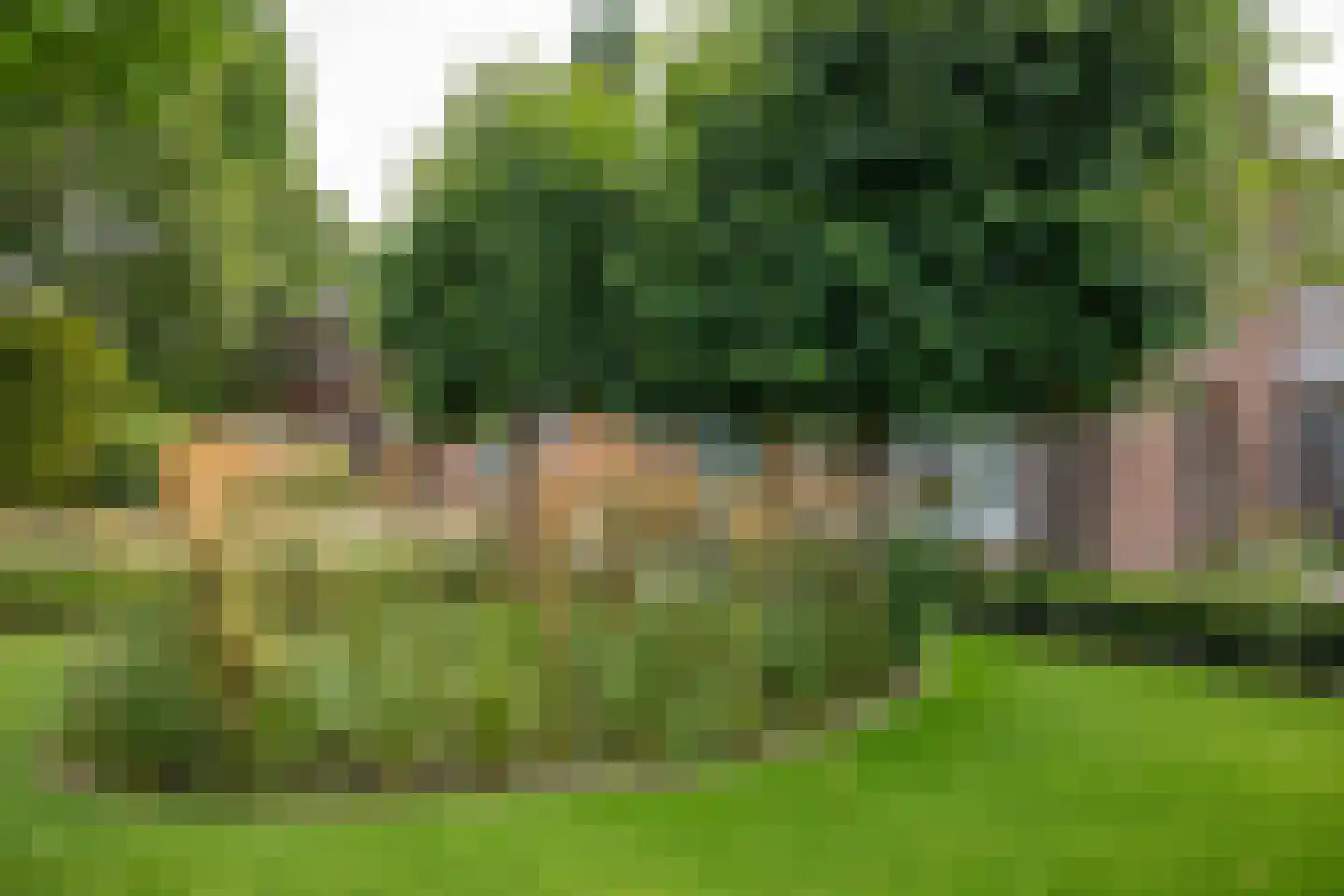 Tielsestraat 5 Opheusden thumbnail 78
