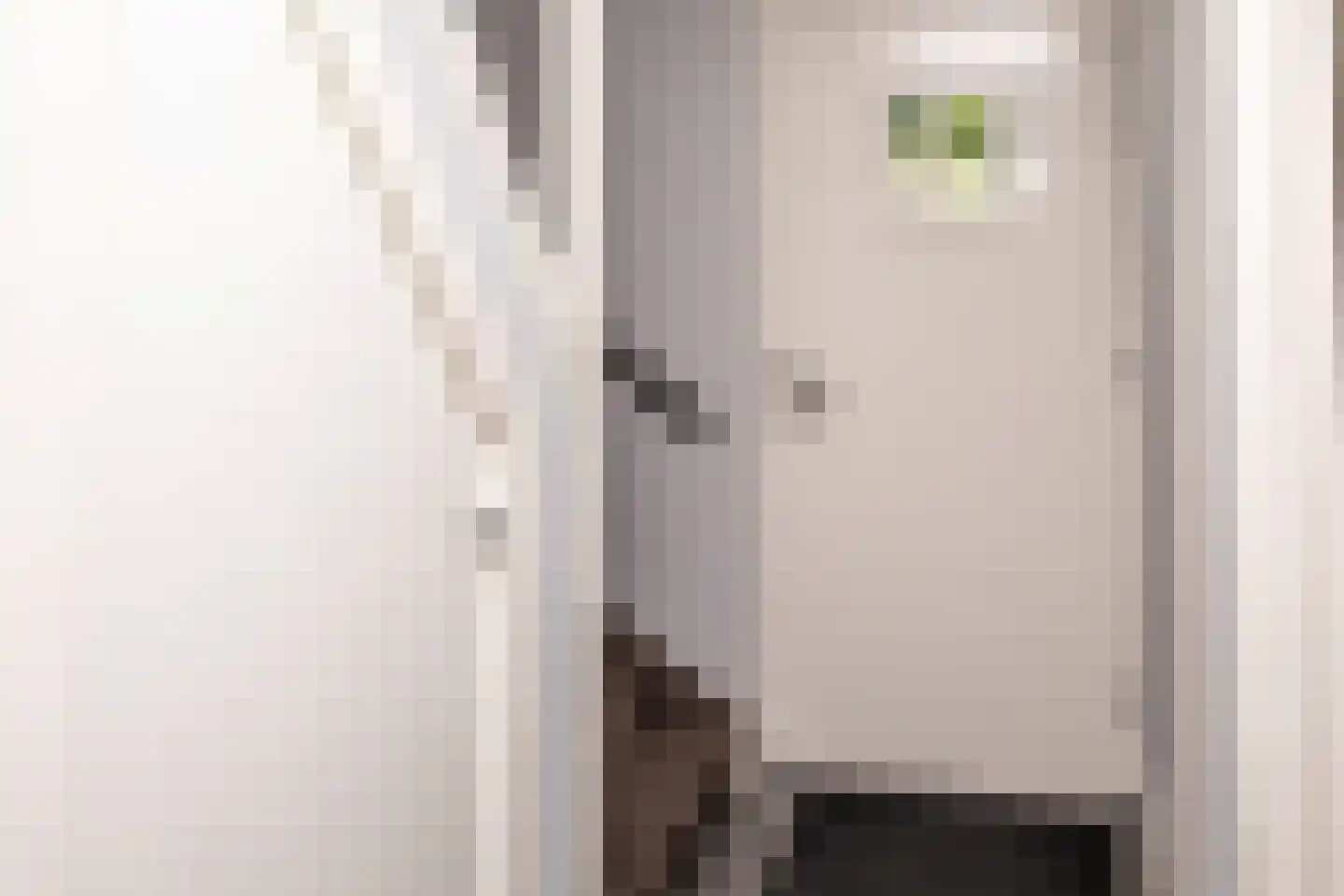 Tielsestraat 5 Opheusden thumbnail 85