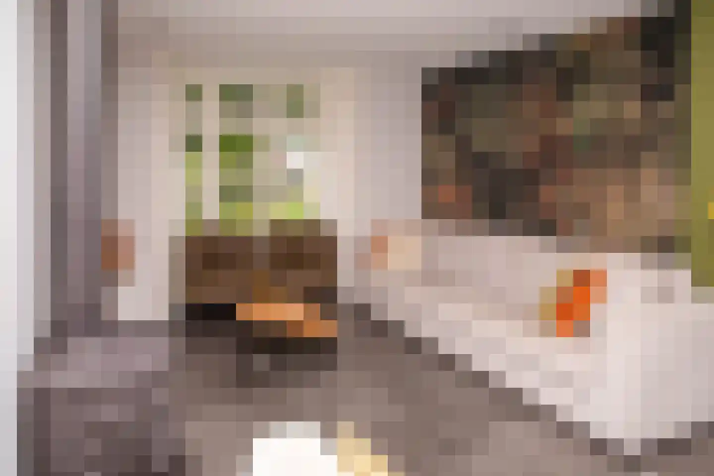 Tielsestraat 5 Opheusden thumbnail 87