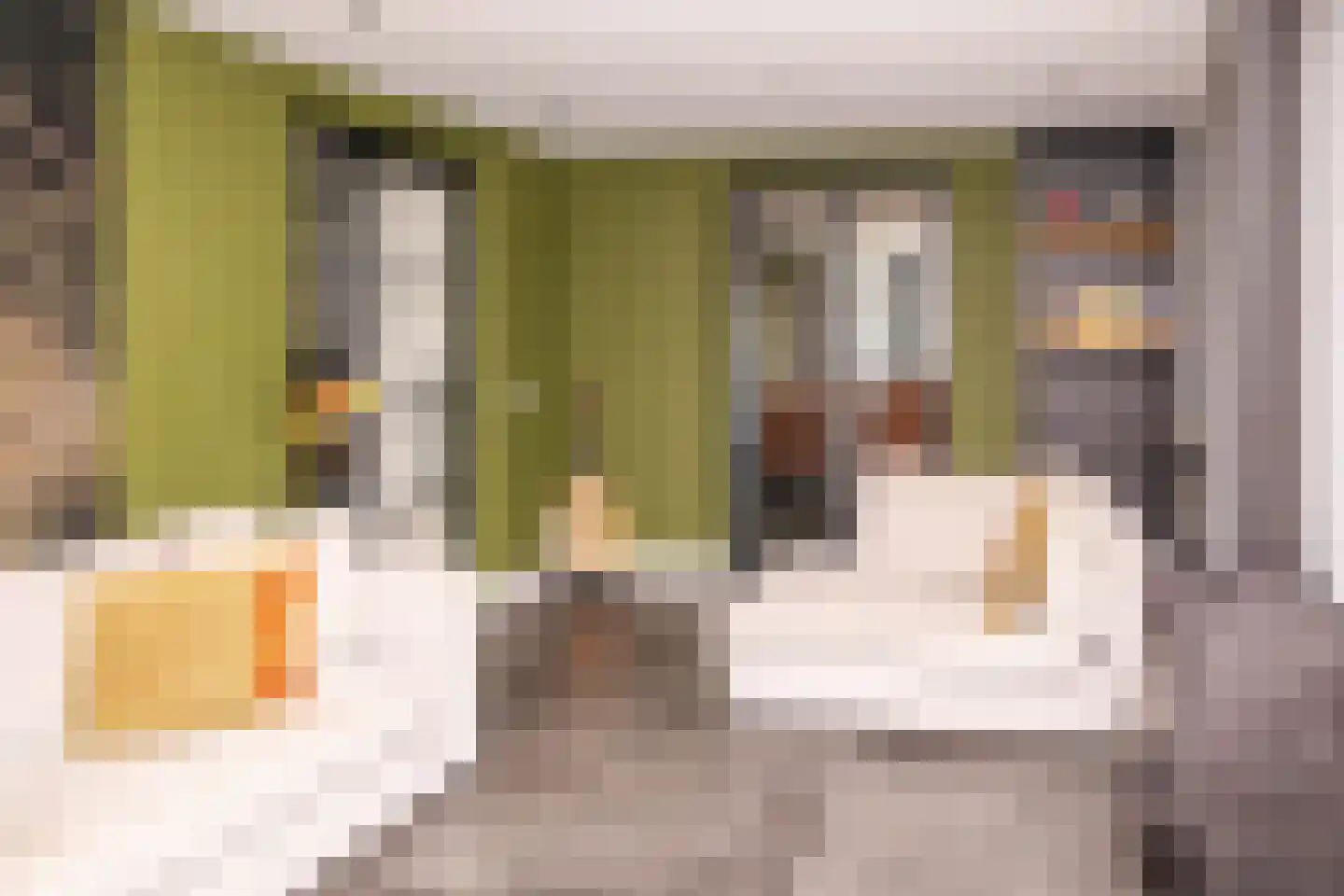 Tielsestraat 5 Opheusden thumbnail 88