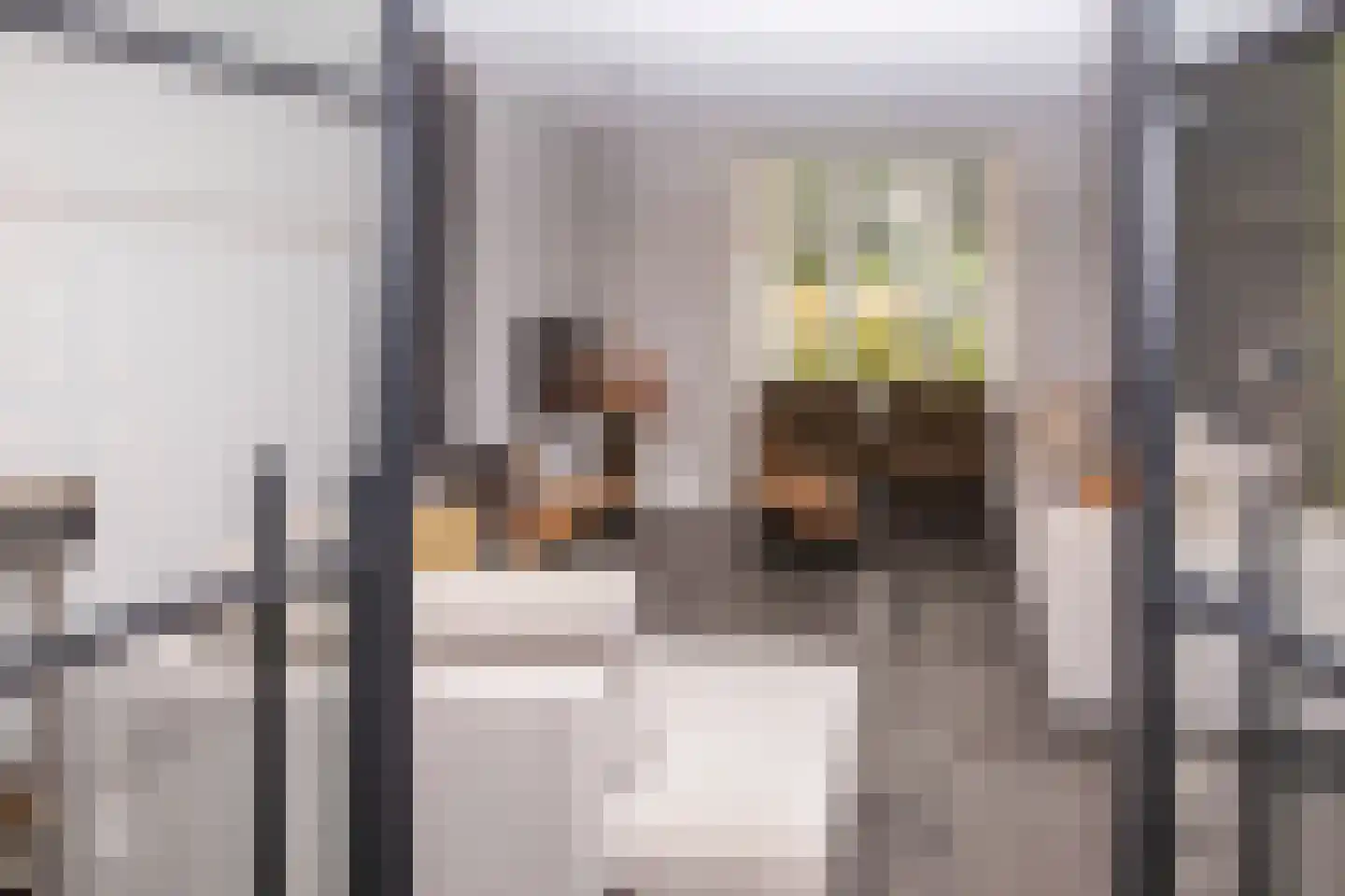 Tielsestraat 5 Opheusden thumbnail 89