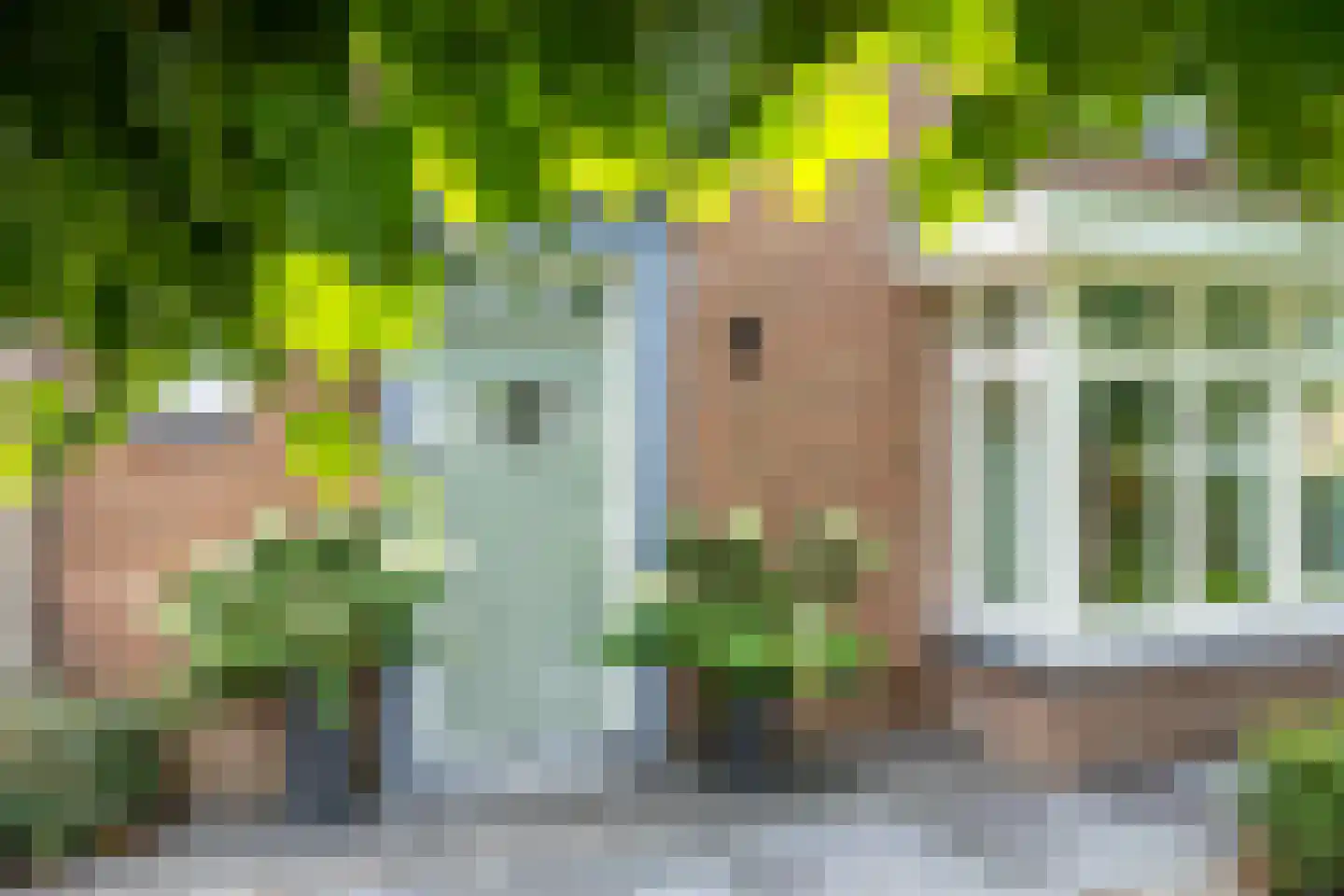 Tielsestraat 5 Opheusden thumbnail 9