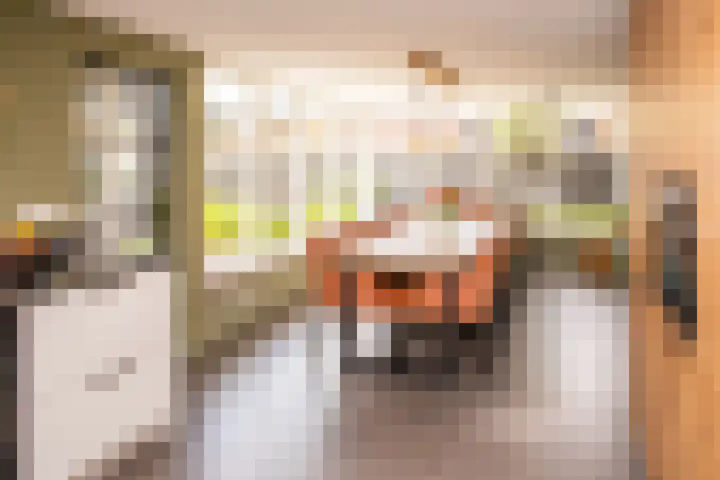 Tielsestraat 5 Opheusden thumbnail 90