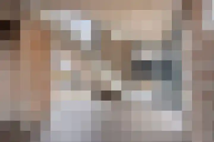 Tielsestraat 63 b Valburg thumbnail 10