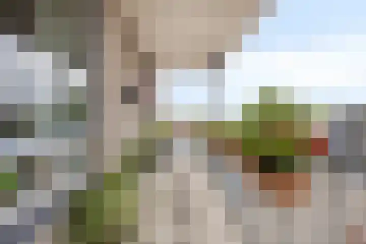 Tielsestraat 63 b Valburg thumbnail 13