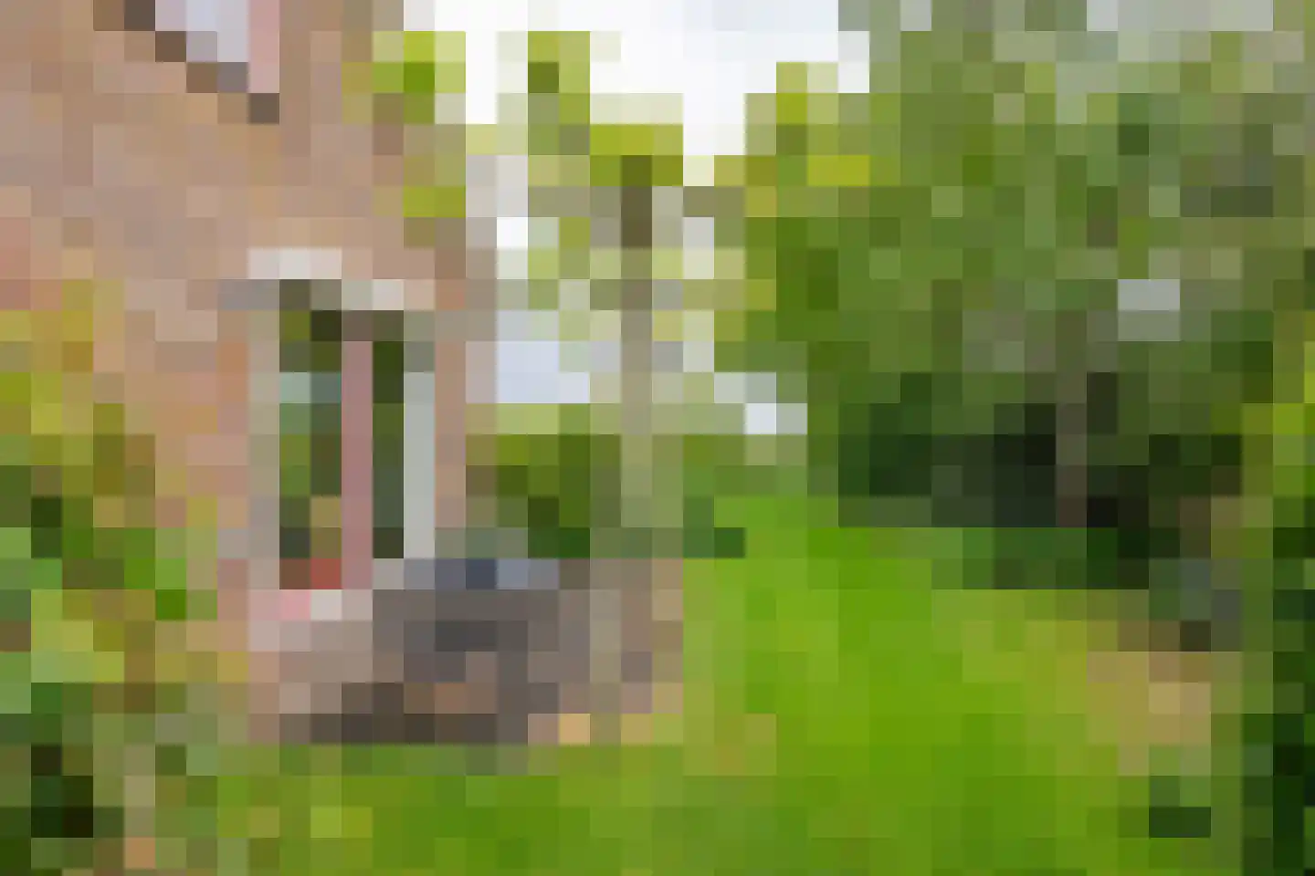 Tielsestraat 64 Maurik thumbnail 11