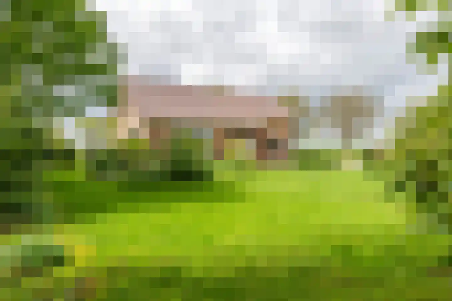 Tielsestraat 64 Maurik thumbnail 16