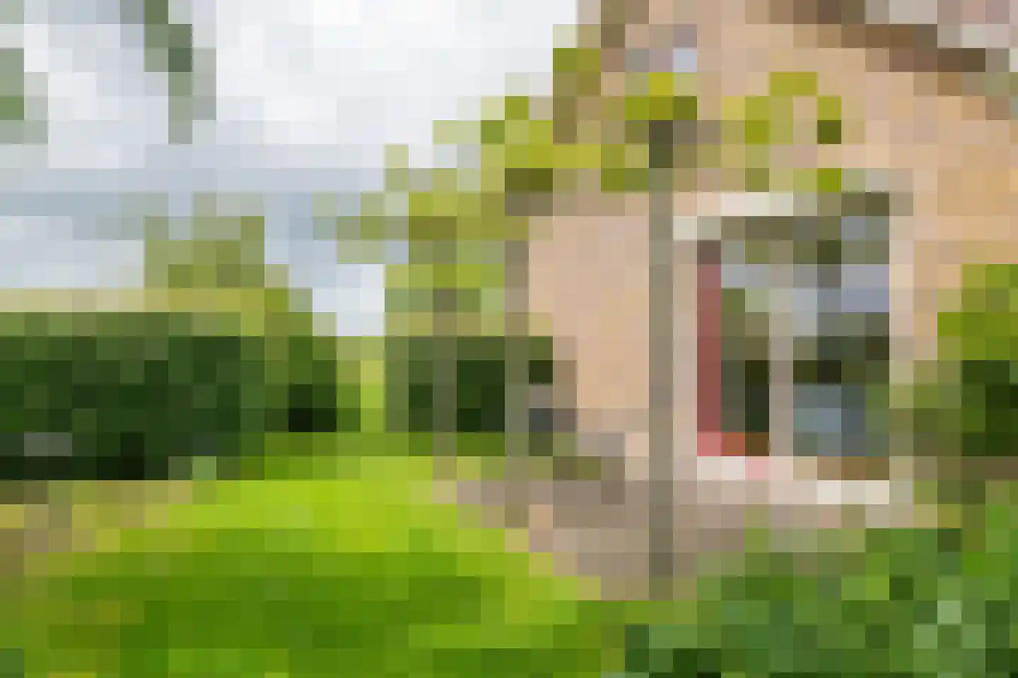 Tielsestraat 64 Maurik thumbnail 17
